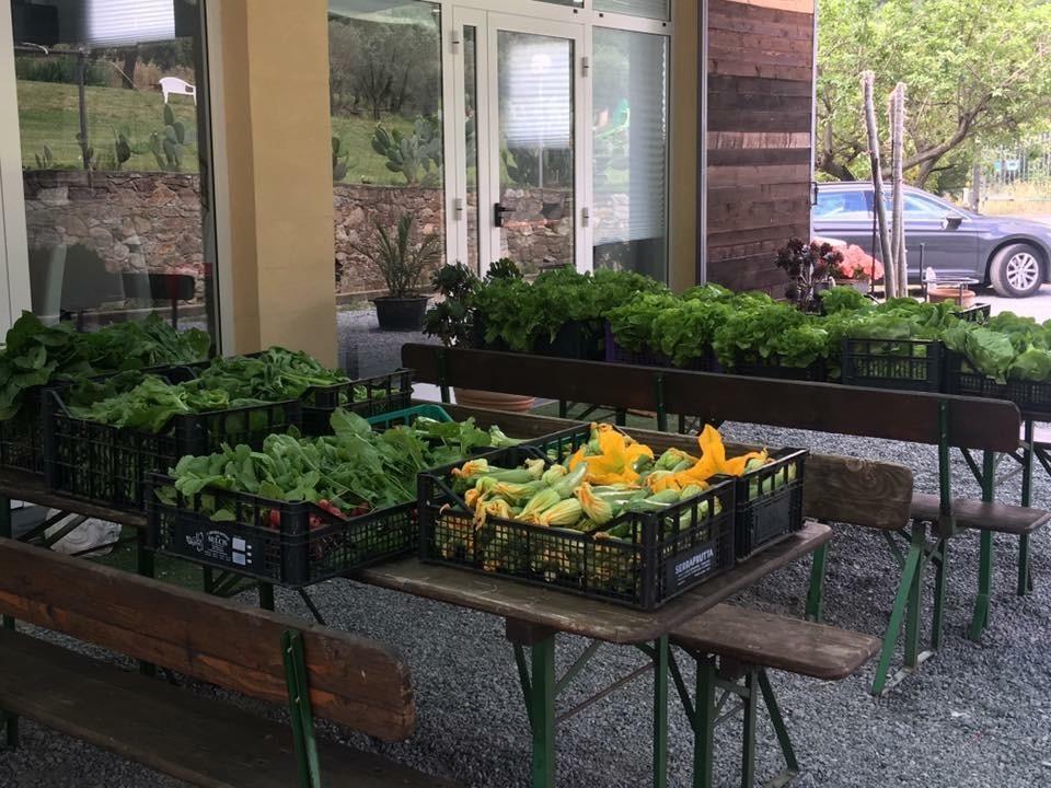 Agriturismo Argentea Villa Arenzano Bagian luar foto