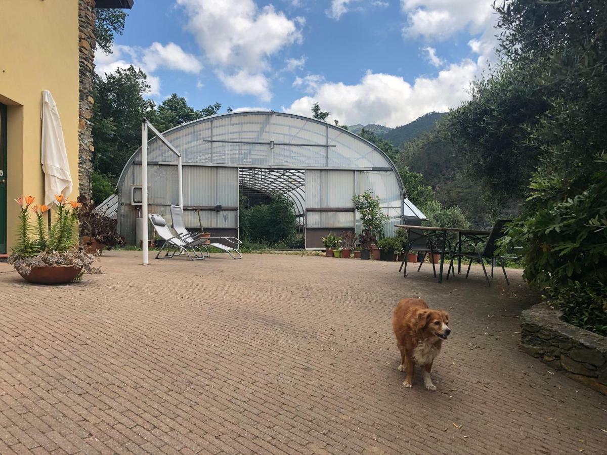 Agriturismo Argentea Villa Arenzano Bagian luar foto