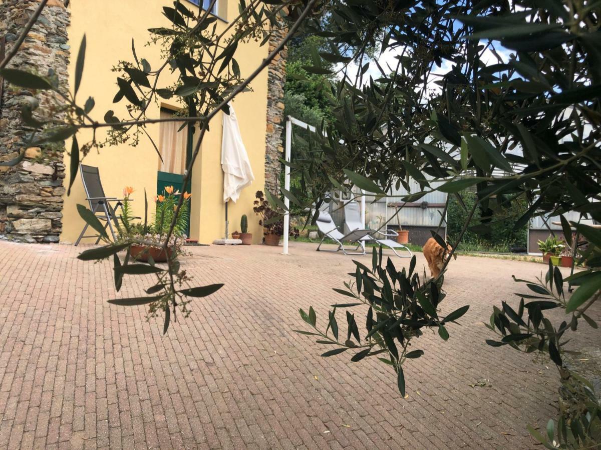 Agriturismo Argentea Villa Arenzano Bagian luar foto