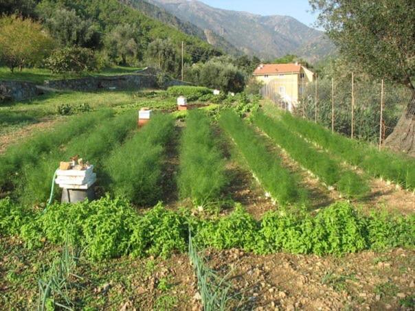 Agriturismo Argentea Villa Arenzano Bagian luar foto